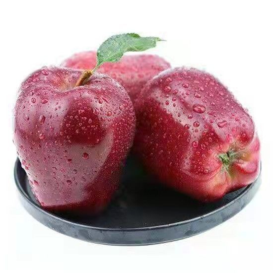 88626-现摘花牛苹果水果蛇果新鲜粉甘肃天水当季水果-详情图
