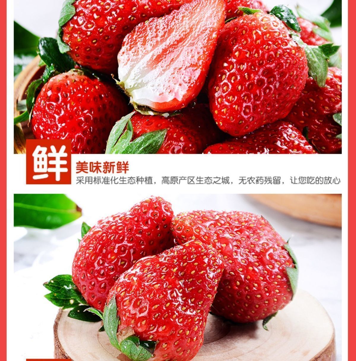 现摘草莓新鲜甜草莓奶油99水果批发九九非丹东红颜大凉山商用包邮