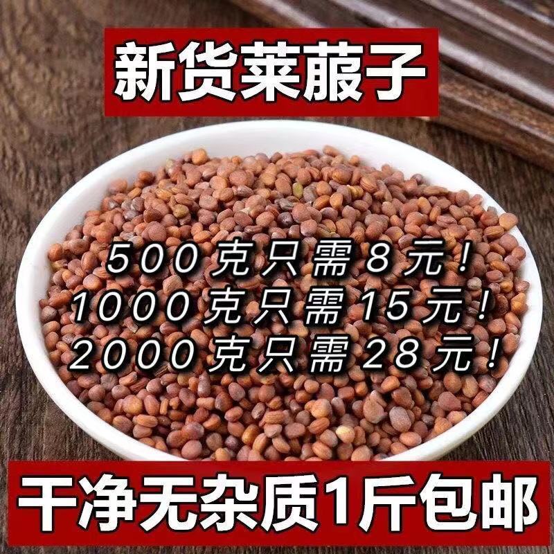 莱菔子 生莱菔子500克包邮中药材炒莱菔子野生白萝卜籽新货多规格【2