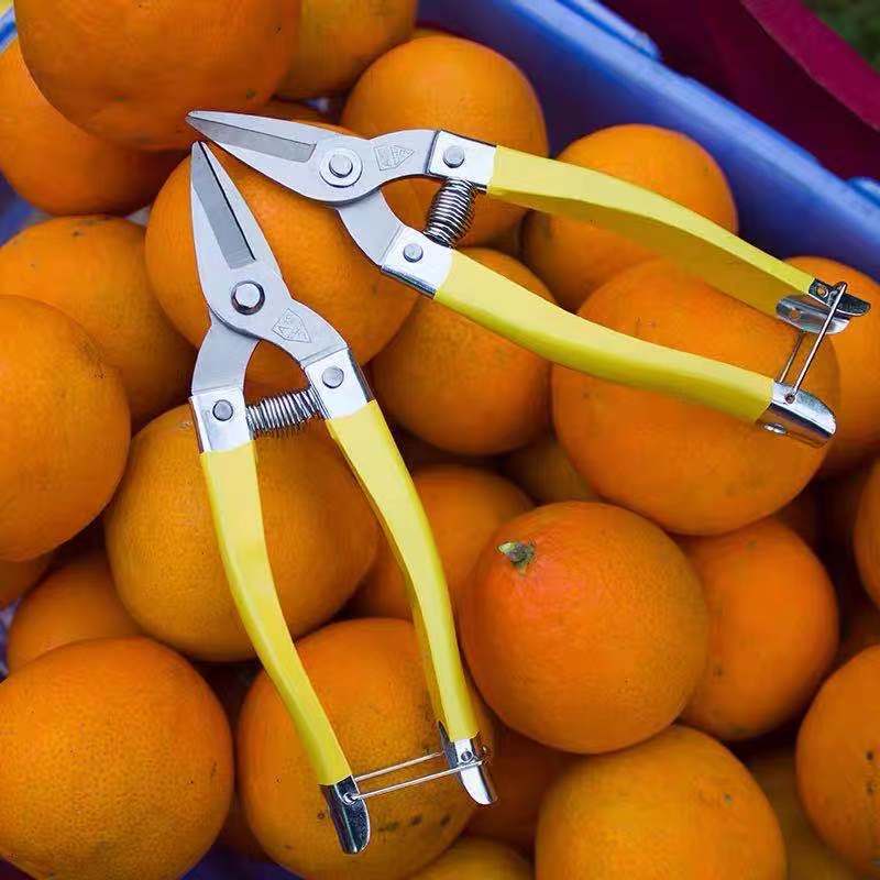 果剪刀摘果剪采果疏花稀果剪修剪花卉剪刀橘子葡萄枝专用剪刀柑橘