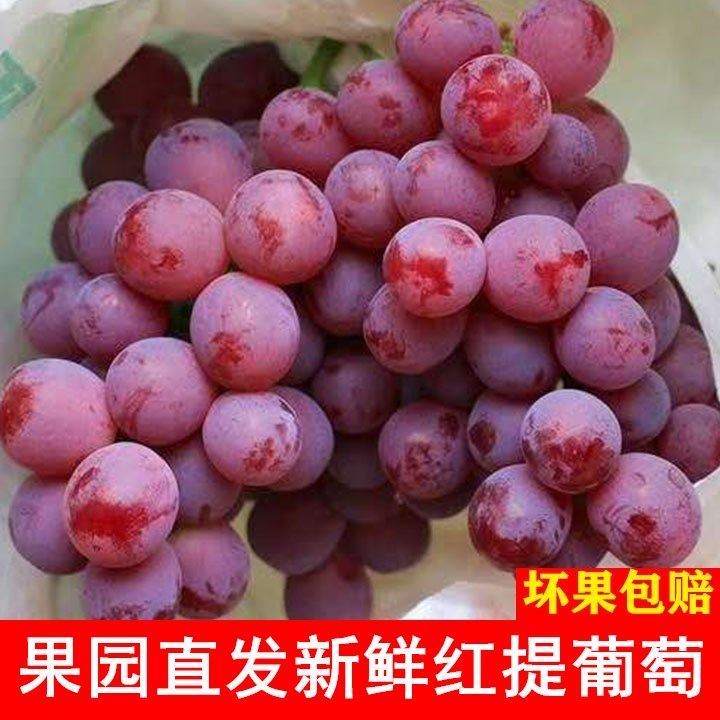 88805-红提葡萄新鲜水果非红宝石克伦生葡萄当季新鲜水果脆甜包邮-详情图