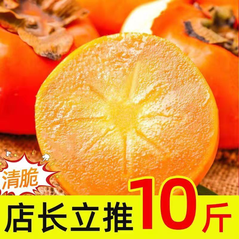 88822-【爆甜】冰糖心脆柿子现摘新鲜水果生吃柿子包邮巧克力甜柿子整箱-详情图