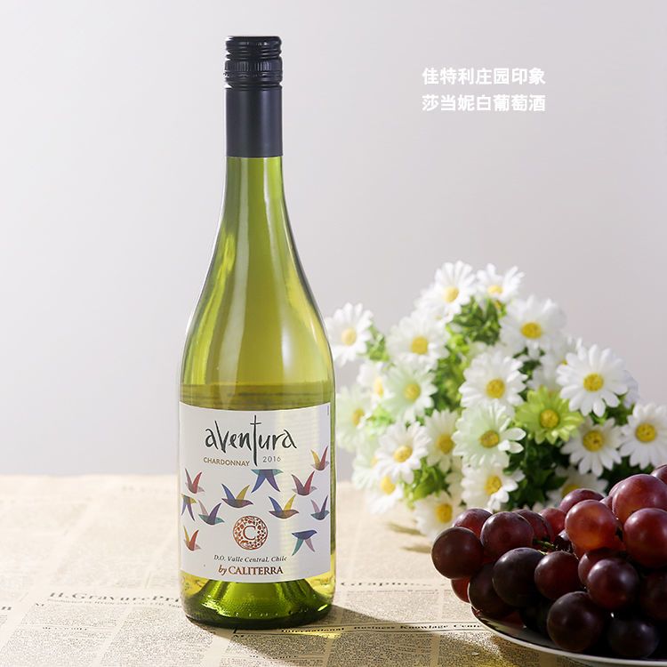 智利原瓶进口葡萄酒佳特利庄园印象莎当妮干白葡萄酒750ml