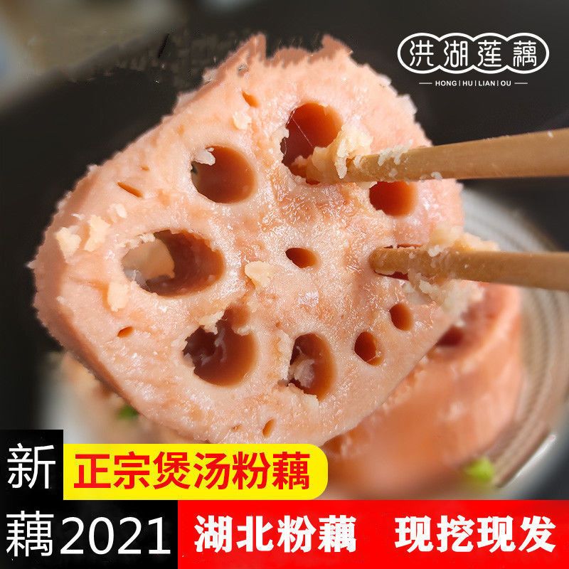 88574-【现挖现发】湖北洪湖粉藕新鲜煲汤藕青泥巴藕面藕炖汤粉糯莲藕【10月18日发完】-详情图