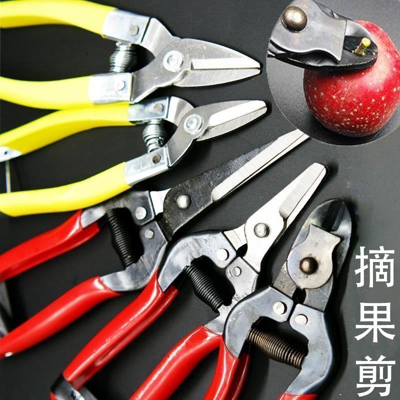 蔬果剪园艺剪刀稀果摘果剪葡萄修枝专用采摘剪子摘水果工具神器