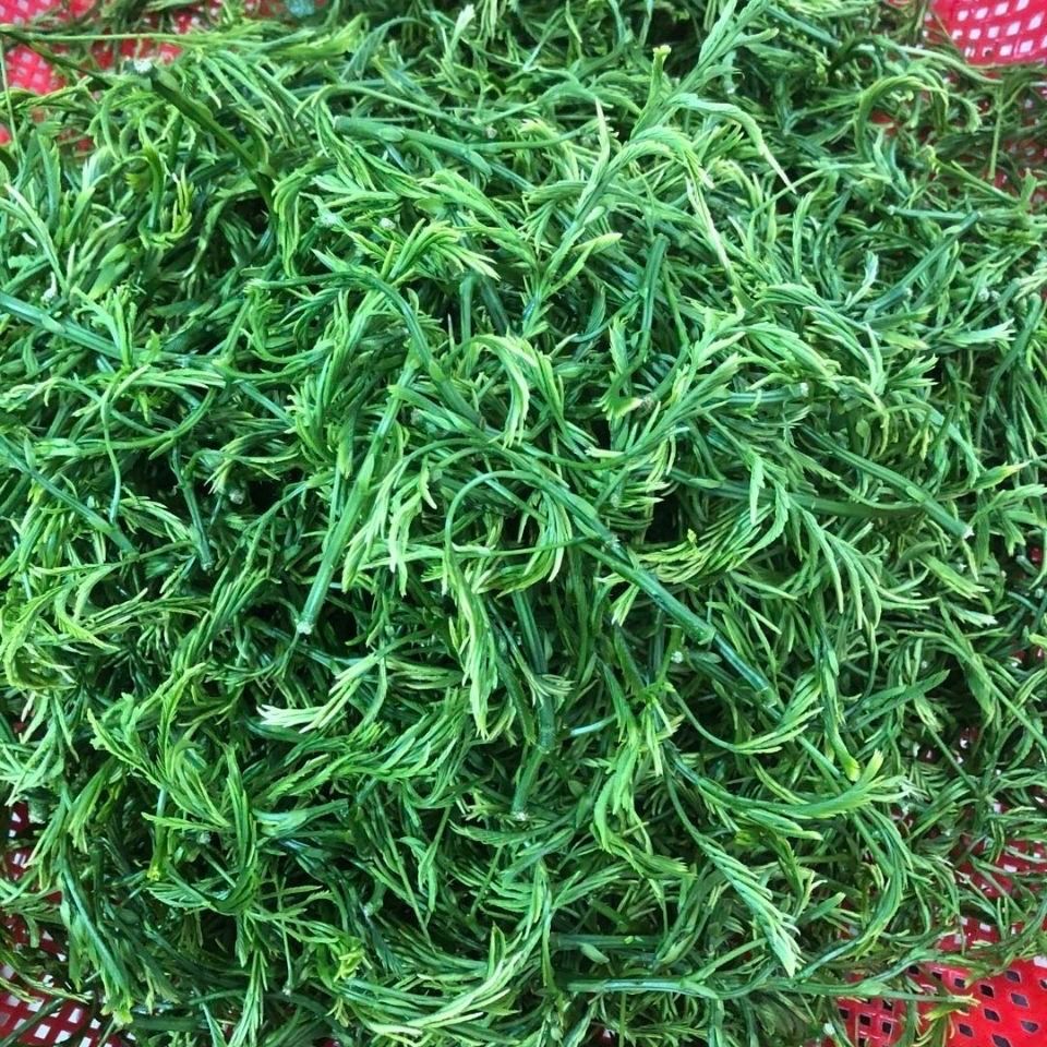 云南野菜泰国吃播臭菜,羽叶金合欢,帕哈重口味蔬菜新鲜蔬菜