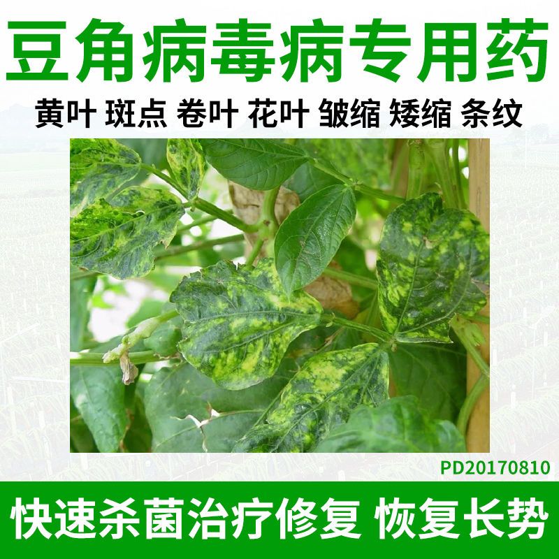 豆角病毒病专用药特效药香菇多糖农药细菌病克星花叶卷叶病杀菌剂