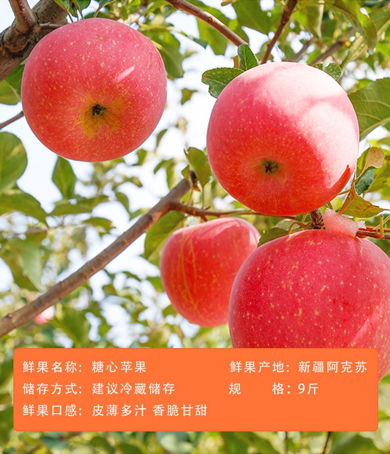 小虎雀 苹果水果阿克苏冰糖心苹果新鲜丑苹果糖心苹果3/5/10斤