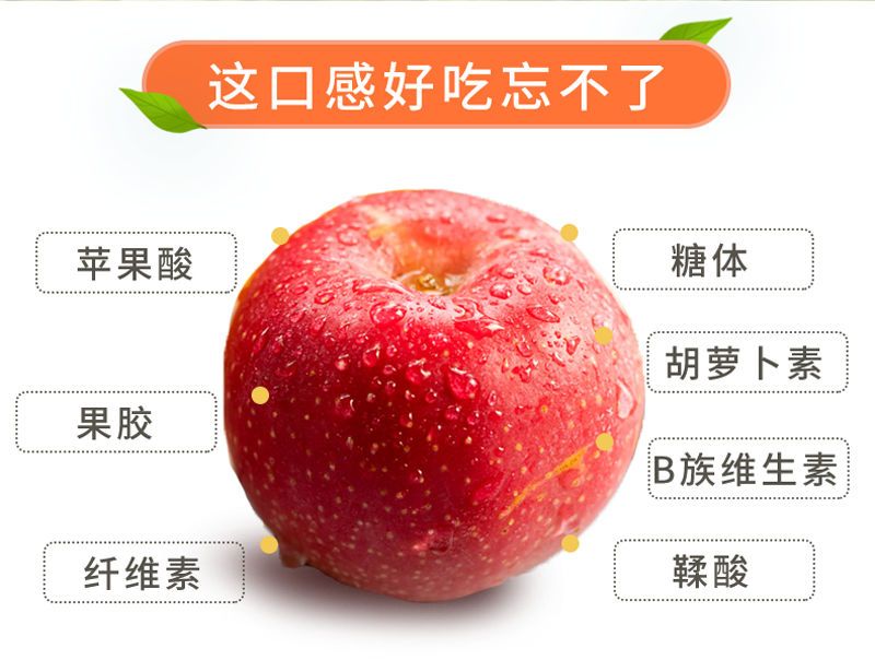 小虎雀 苹果水果阿克苏冰糖心苹果新鲜丑苹果糖心苹果3/5/10斤