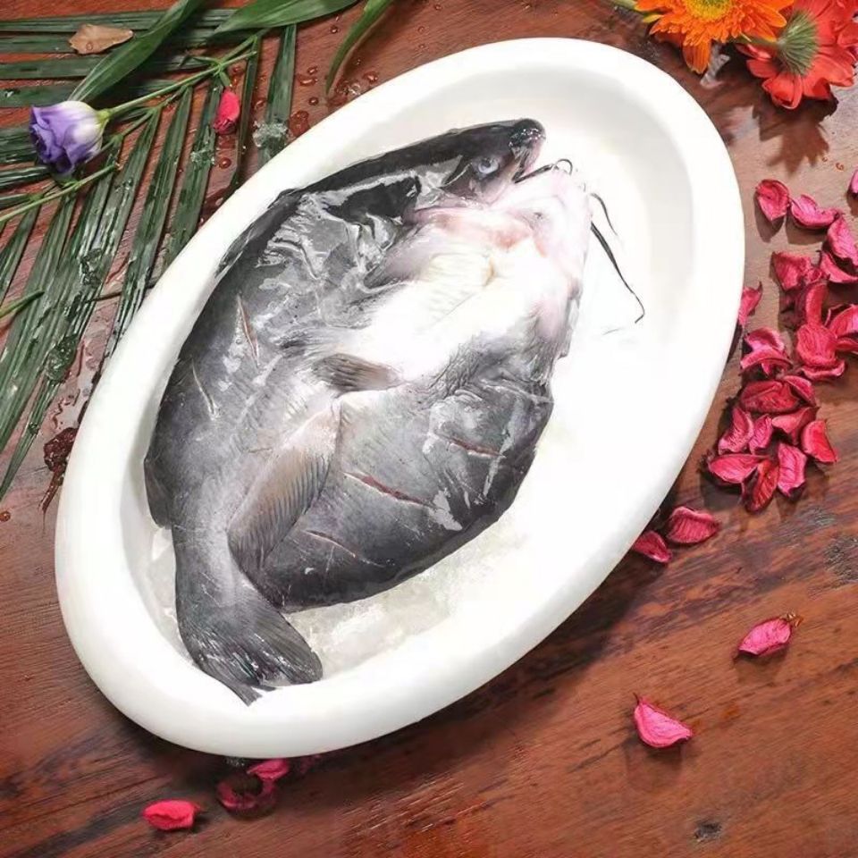 懒人速食家庭快捷清江鱼腌制速冻半成品开背烤鱼食材