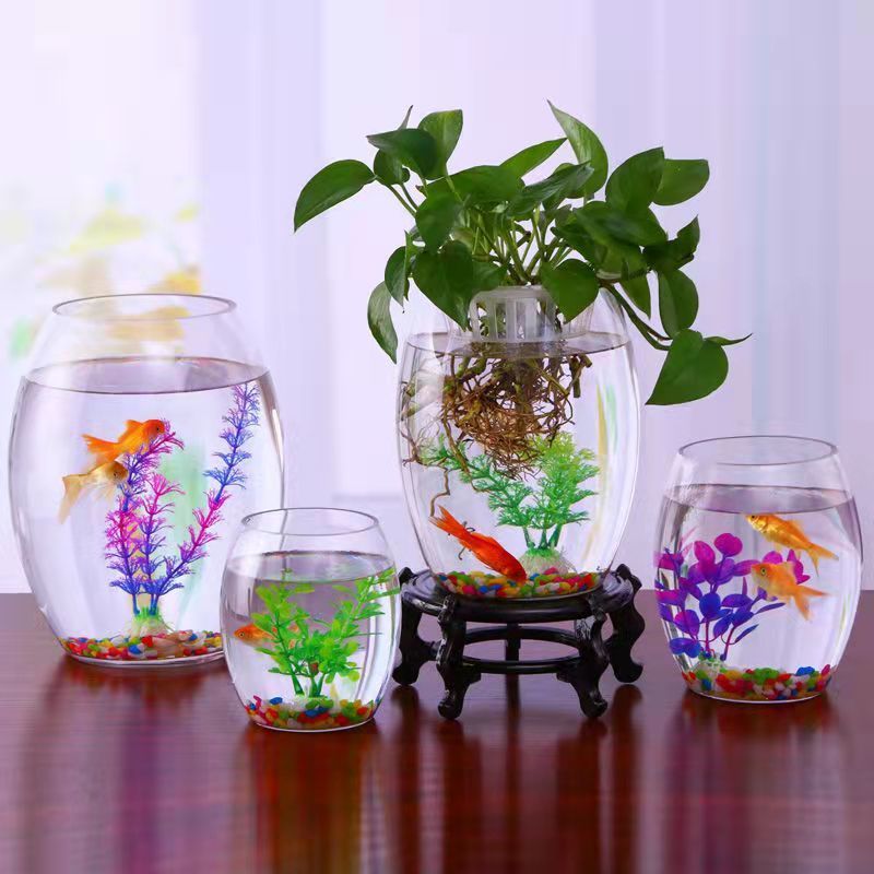透明玻璃花瓶水培植物绿萝花盆鱼缸养花养鱼鱼缸水养观音竹玻璃瓶