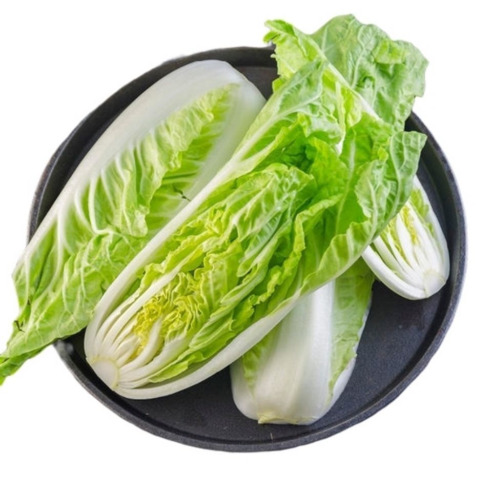 云南新鲜快菜高山黄白菜黄心白菜现摘时令蔬菜新鲜杭白菜绿叶白菜