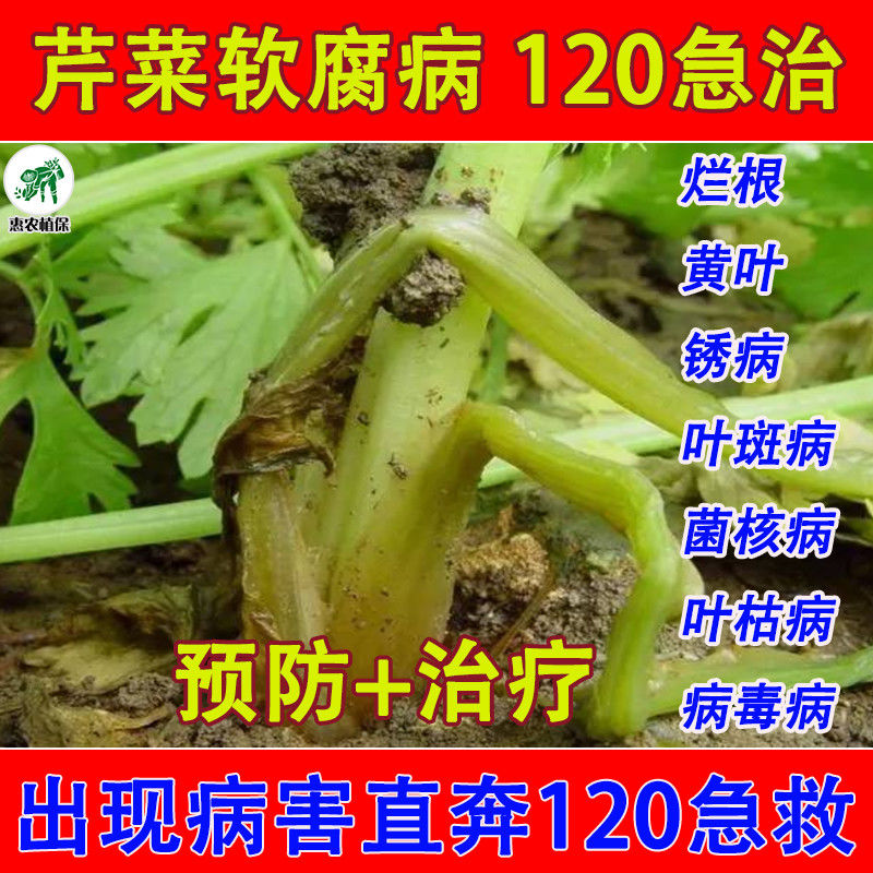 芹菜软腐病特效药芹菜专用农药芹菜病全治芹菜杀菌药剂芹菜防病药