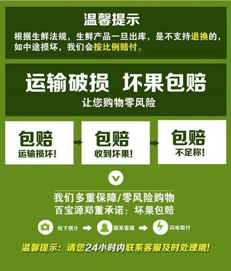  涿鹿龙眼葡萄新鲜水果现摘葡萄提子孕妇水果巨峰玫瑰香剪粒装5斤