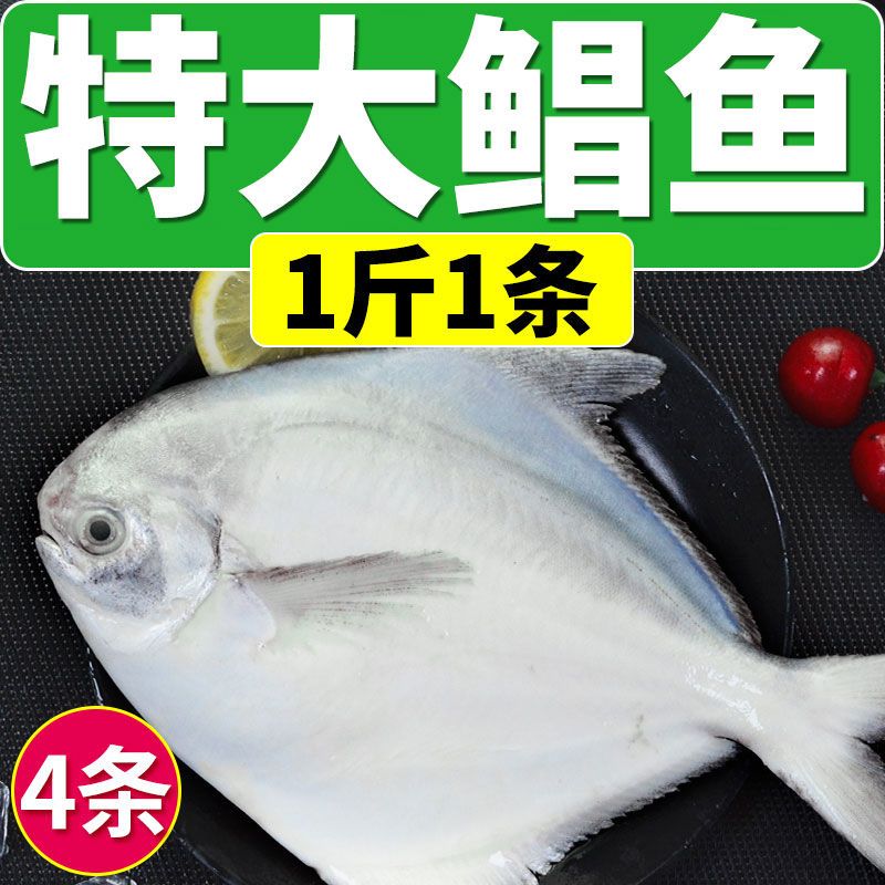 精品】青岛特大银鲳鱼海鲜水产金鲳鱼新鲜活体冷冻白鲳昌鱼平鱼_虎窝拼