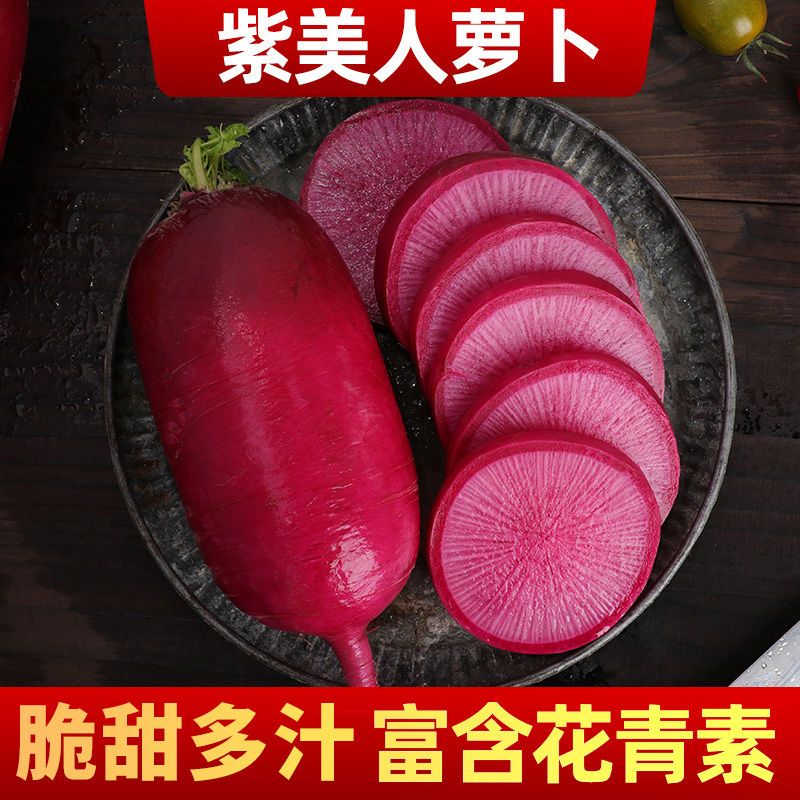 紫美人水果萝卜甜脆型潍坊县沙窝凤梨萝卜新鲜批发价3/5斤澳农卡