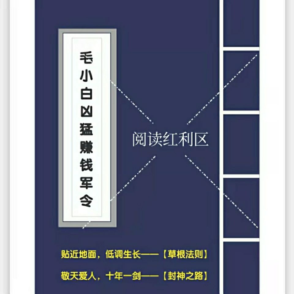 毛小白凶猛赚钱军令_拾壹资源网