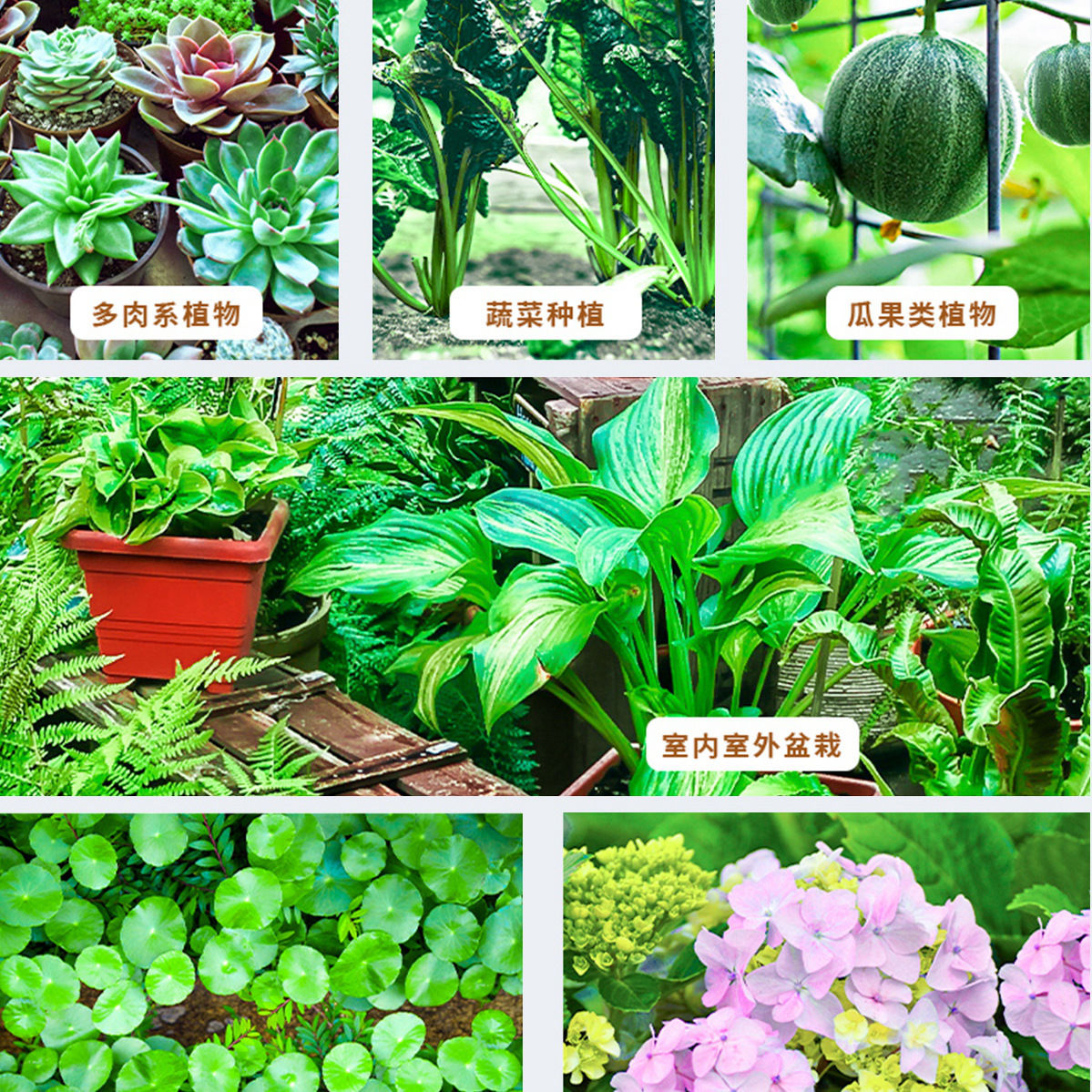 通用花肥料 通用型花卉肥料养花专用肥料家用万能有机复合缓释肥