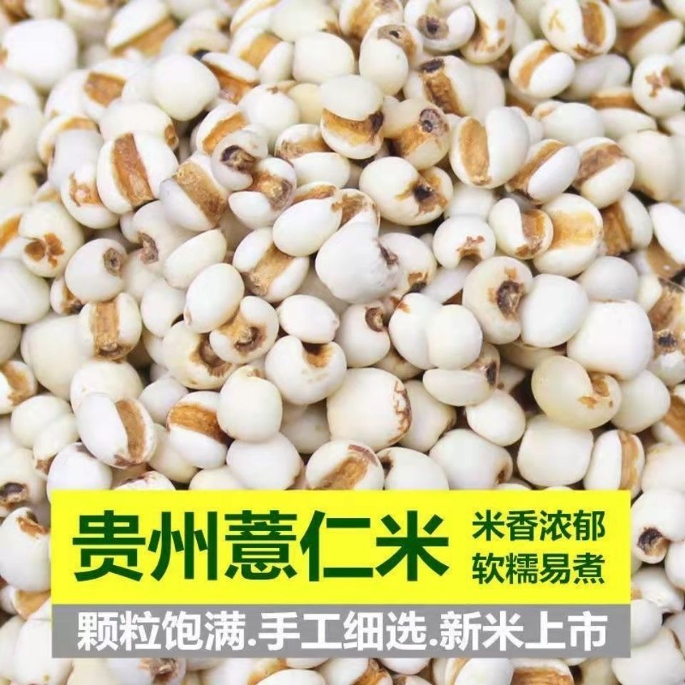中药材炒薏米仁 新货 炒薏苡仁 熟小薏米 米仁 薏仁500克50克