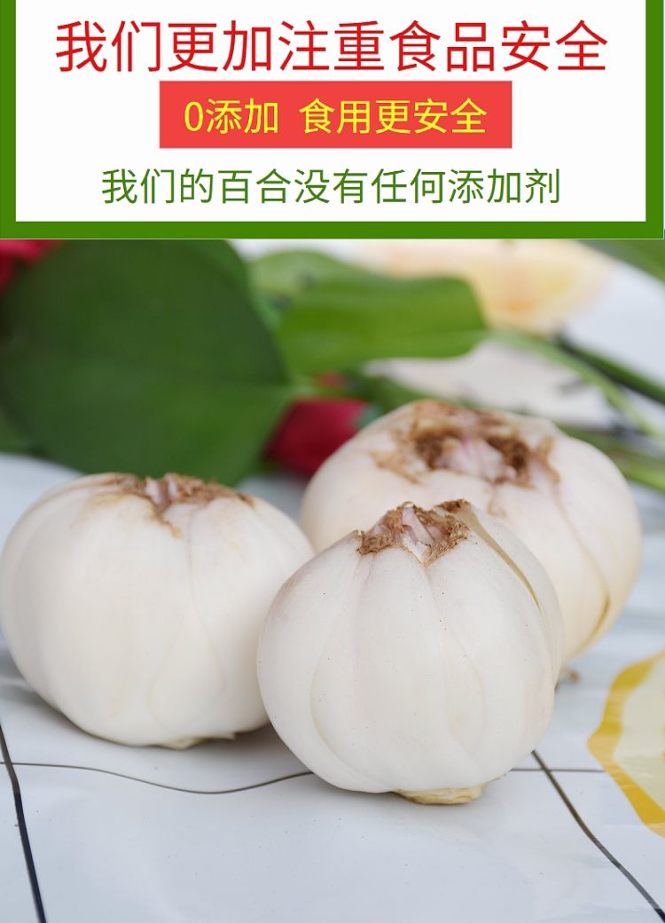 新货百合兰州百合兰州鲜百合新鲜百合食用甜百合农家百合新鲜蔬菜