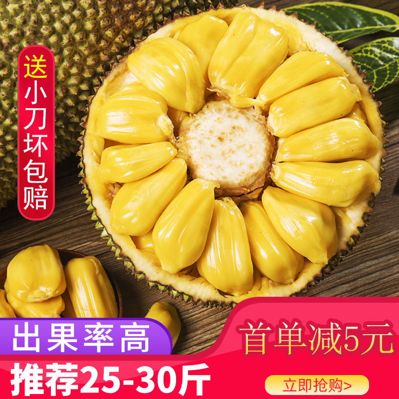 105789-坏果包赔海南菠萝蜜一整个批发价孕妇当季新鲜水果黄心波萝蜜包邮-详情图