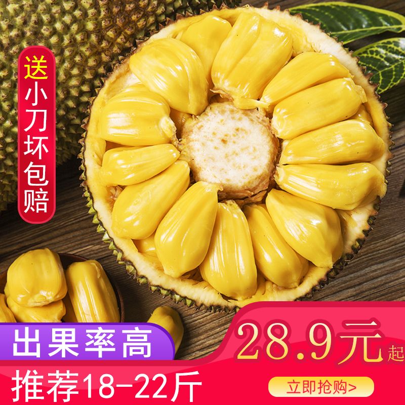 105789-坏果包赔海南菠萝蜜一整个批发价孕妇当季新鲜水果黄心波萝蜜包邮-详情图