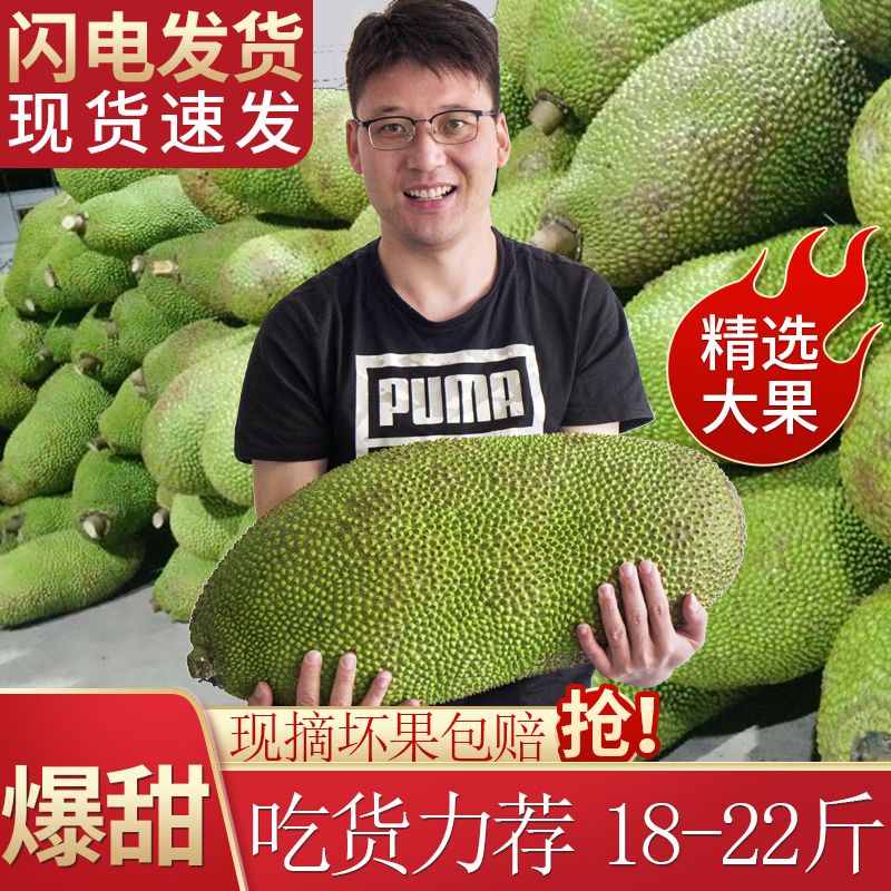 105789-坏果包赔海南菠萝蜜一整个批发价孕妇当季新鲜水果黄心波萝蜜包邮-详情图