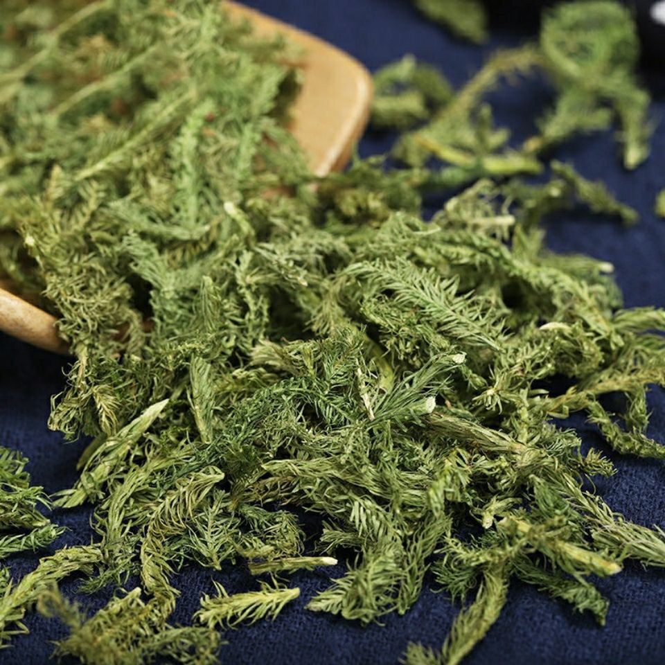 中药材伸筋草 筋骨草 正品新货透骨草舒筋草石松狮子多规格