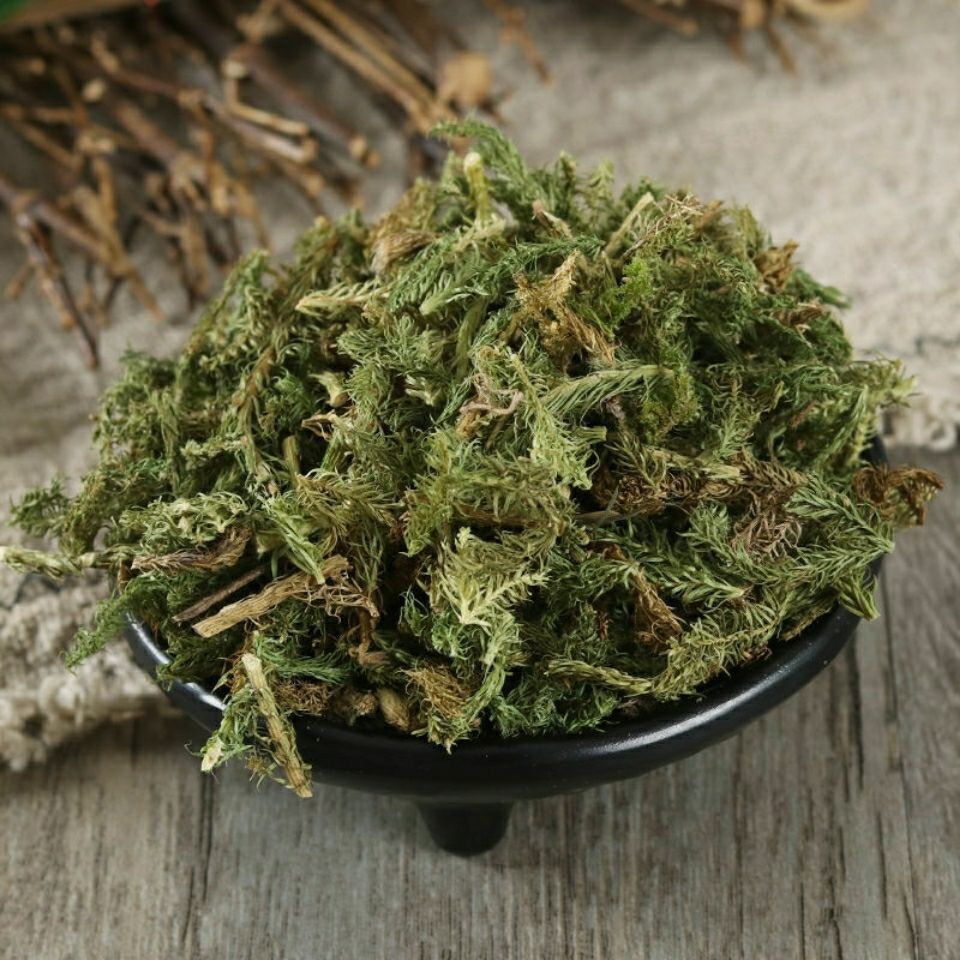 中药材伸筋草 筋骨草 正品新货透骨草舒筋草石松狮子多规格