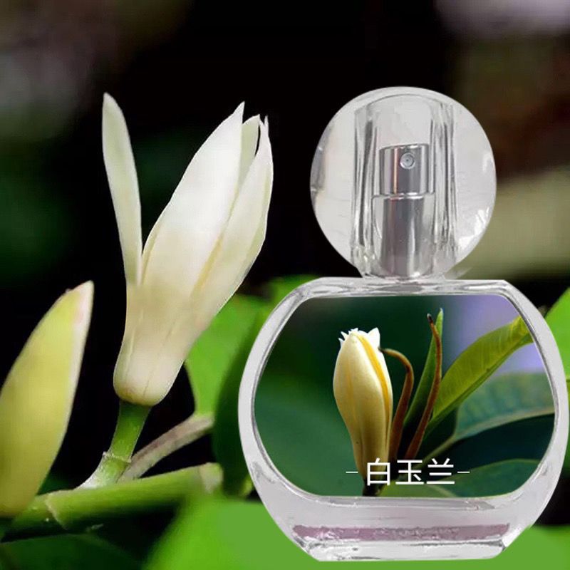 白兰花香水黄桷兰女士持久淡香学生自然清新正品白兰味白玉兰花香 虎窝拼