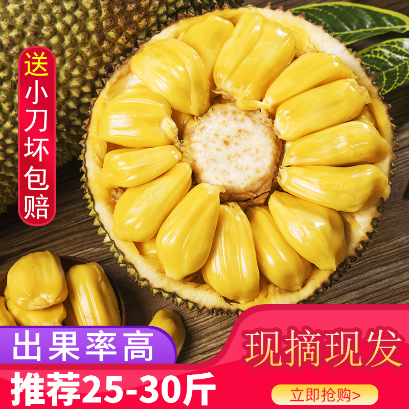 105789-坏果包赔海南菠萝蜜一整个批发价孕妇当季新鲜水果黄心波萝蜜包邮-详情图