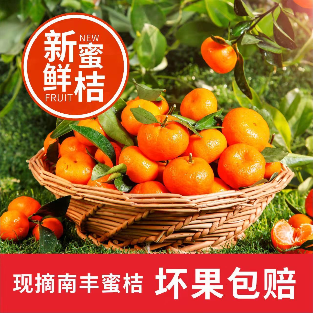 【正宗】南丰蜜桔小贡桔当季新鲜水果孕妇薄皮橘子胜砂糖橘整箱
