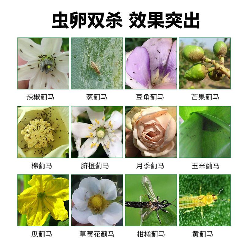 专杀蓟马药特效农药蓟马专用药杀虫杀卵豆角草莓茄子杀虫剂套装 虎窝拼