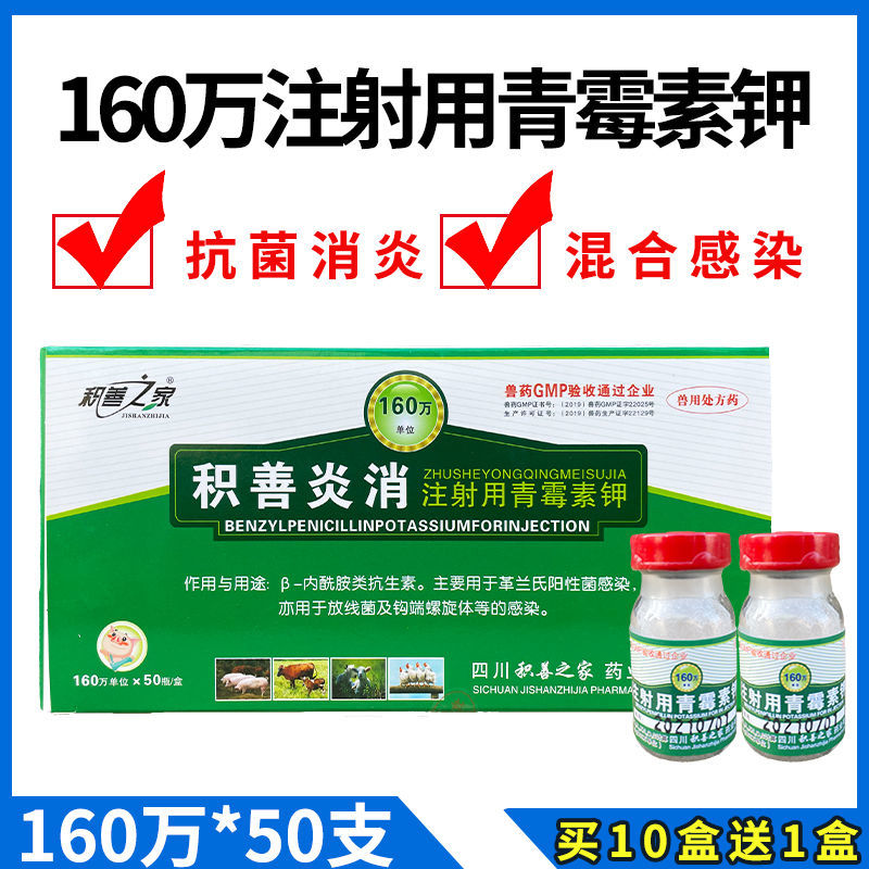 兽药注射用青霉素钾160万单位兽用猪牛羊犬猫鸡鸭鹅水产抗菌消炎