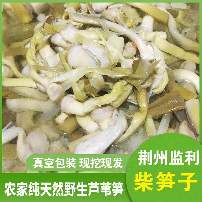 湖北特产监利保鲜发送新鲜蔬菜柴笋子芦苇笋野菜财笋荻笋火锅食材