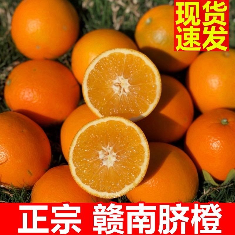 106082-【赣州直发】现摘正宗江西赣南早赣南脐橙孕妇儿童水果新鲜橙子-详情图
