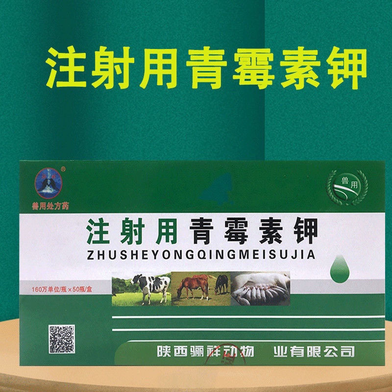 兽用青霉素钾钠160万单位马牛羊猪犬抗菌消炎1盒50瓶饲料添加剂