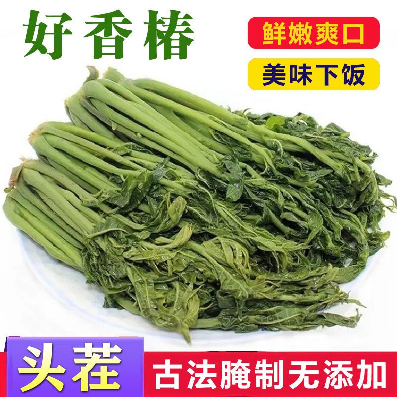 新货香椿芽咸菜2021山东特产头茬新鲜腌制香椿头下饭菜酱菜即食菜