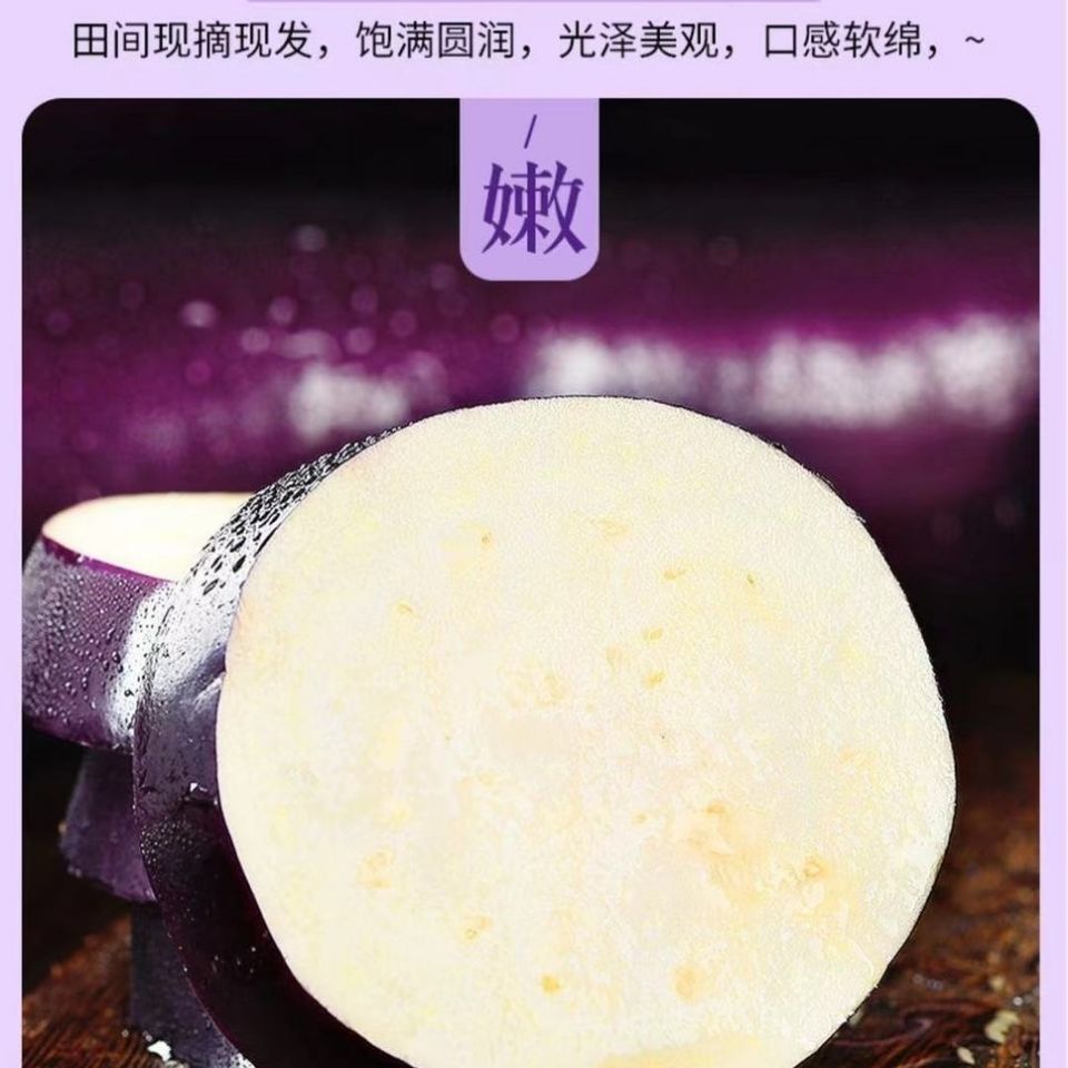 105962-5斤10斤现摘紫茄子新鲜蔬菜农家自种紫皮茄子长茄子-详情图