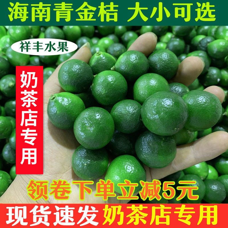 正宗海南小金桔青金桔小青桔柠檬酸桔奶茶饮料店酒吧原料包邮