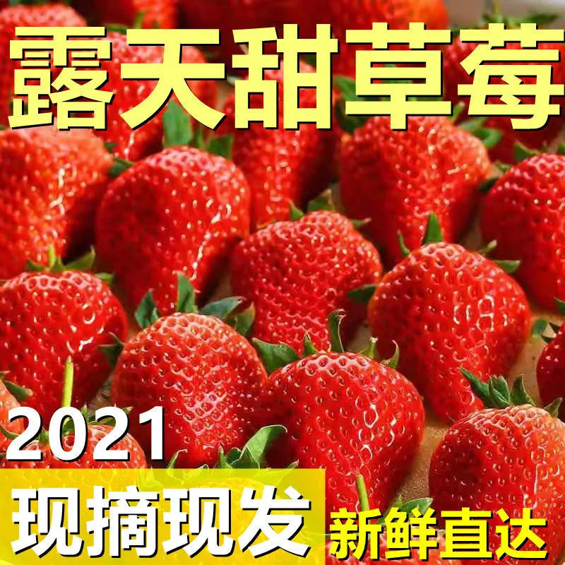 125965-【新鲜草莓】现摘现发红颜草莓应急水果孕妇产地直发包邮整箱批发-详情图