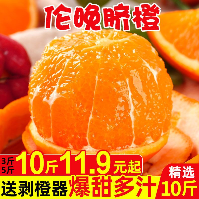 106006-湖北秭归伦晚脐橙新鲜橙子应当季水果赣南手剥橙果冻甜橙整箱-详情图