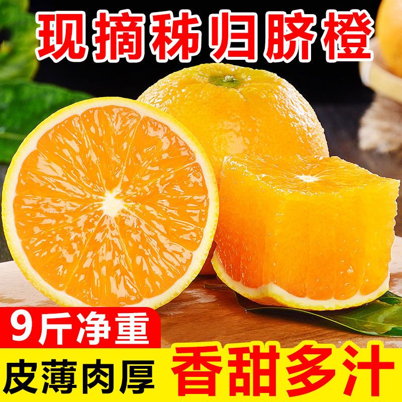 106006-湖北秭归伦晚脐橙新鲜橙子应当季水果赣南手剥橙果冻甜橙整箱-详情图