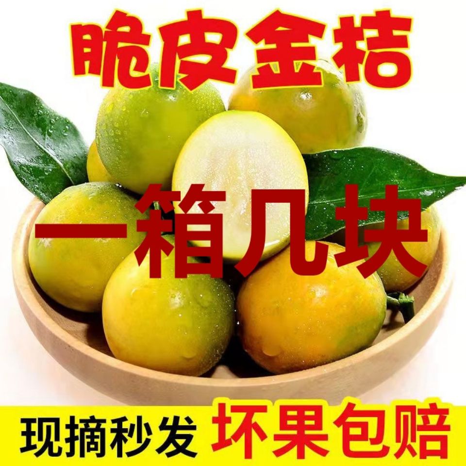 106420-新鲜脆皮金桔批发价广西桂林特产小金桔脆皮薄皮甜心无酸小橘子-详情图
