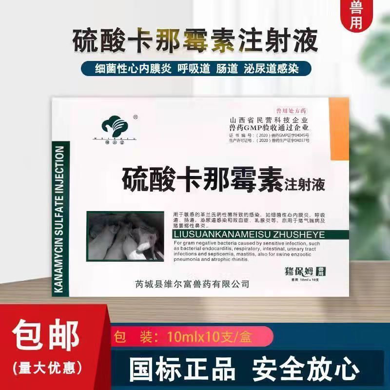 硫酸卡那霉素注射液心内膜炎呼吸道肠道泌尿道感染败血症乳腺炎