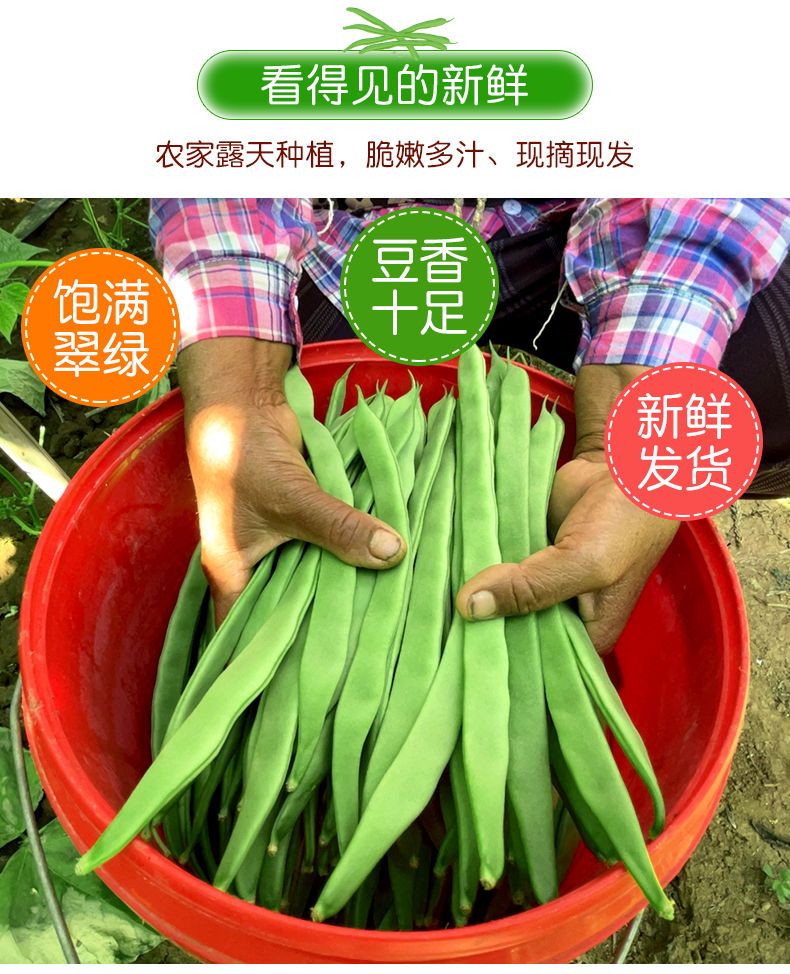 【现摘】云南扁芸豆新鲜豆角四季豆当季时令蔬菜整箱包邮批发