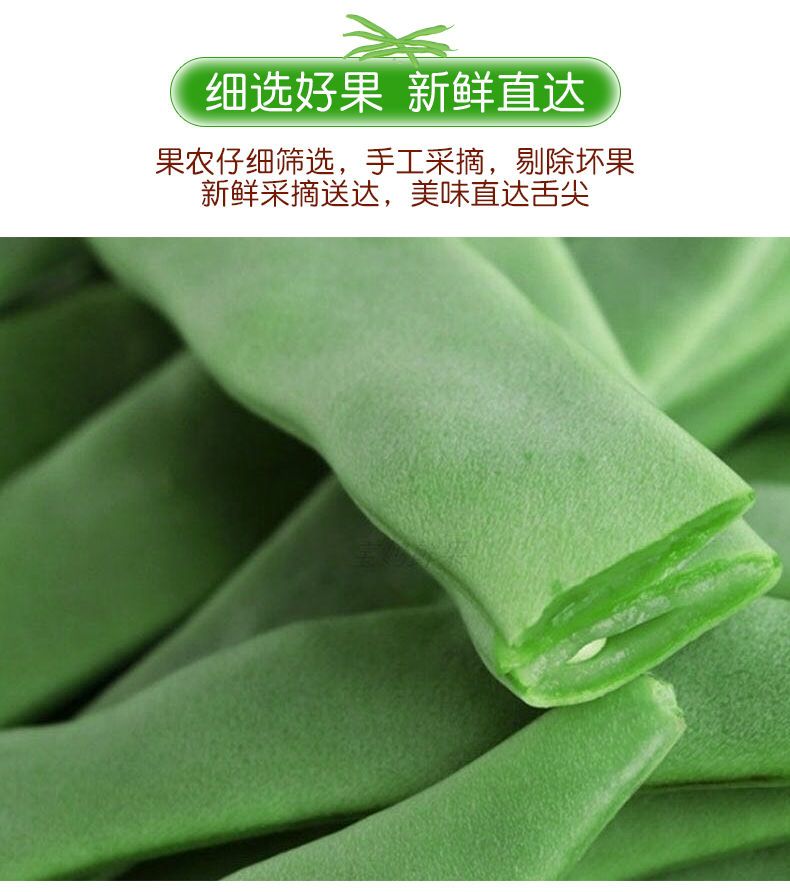 【现摘】云南扁芸豆新鲜豆角四季豆当季时令蔬菜整箱包邮批发