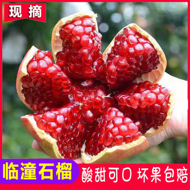【精品】陕西临潼石榴现摘当季新鲜水果非蒙自突尼斯软籽石榴礼盒