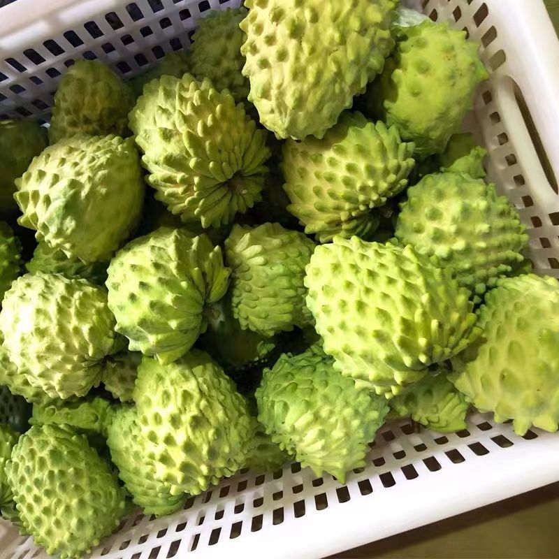 牛奶新鲜释迦果大果5斤当季热带水果番荔枝释迦佛头水果1斤非台湾