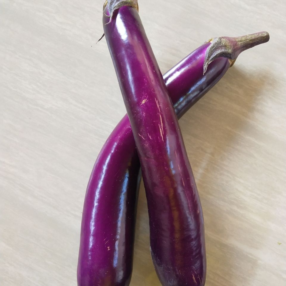 105962-5斤10斤现摘紫茄子新鲜蔬菜农家自种紫皮茄子长茄子-详情图